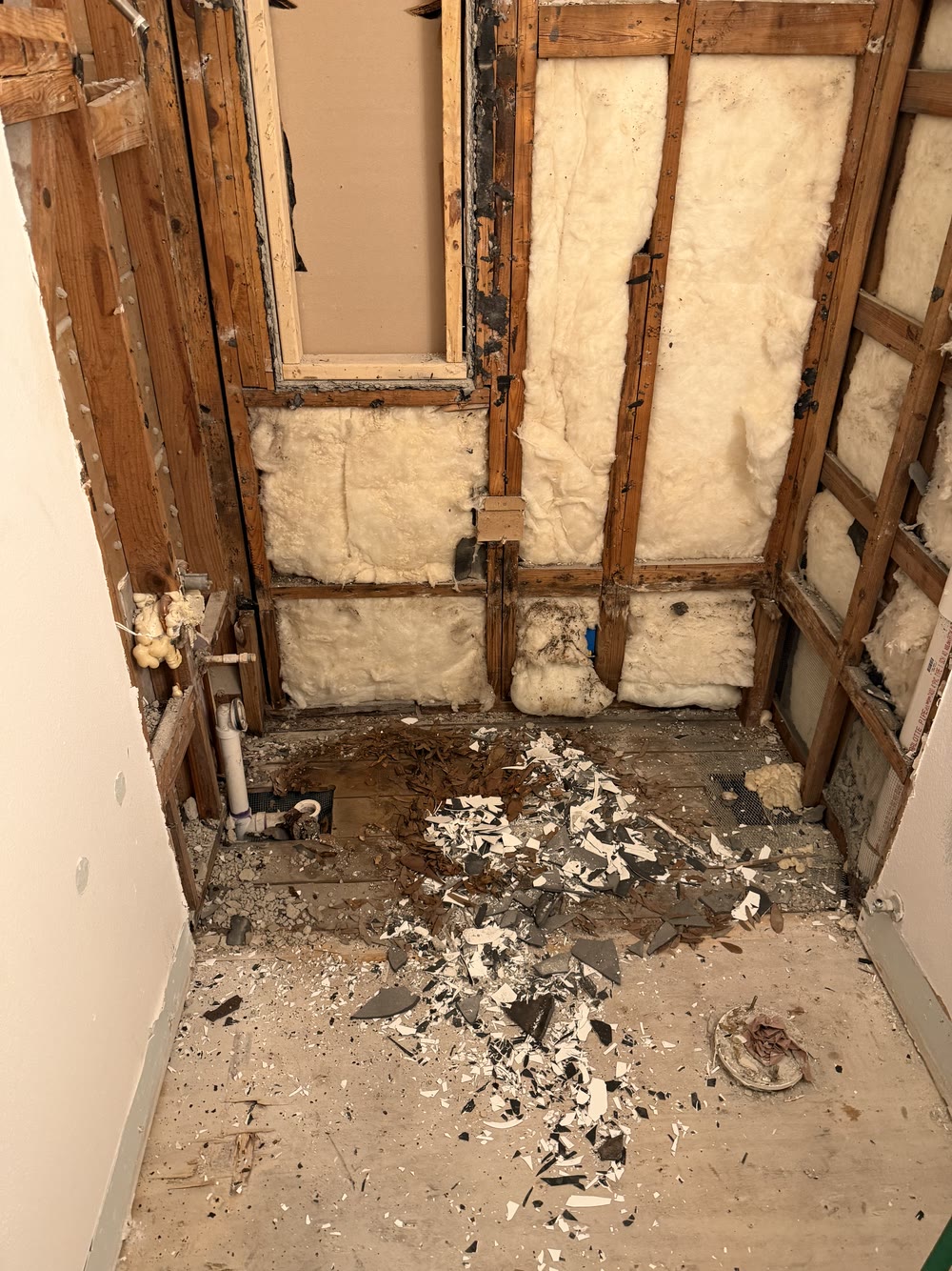 St. Petersburg bathroom stripped to the studs during demolition by 618 Construction